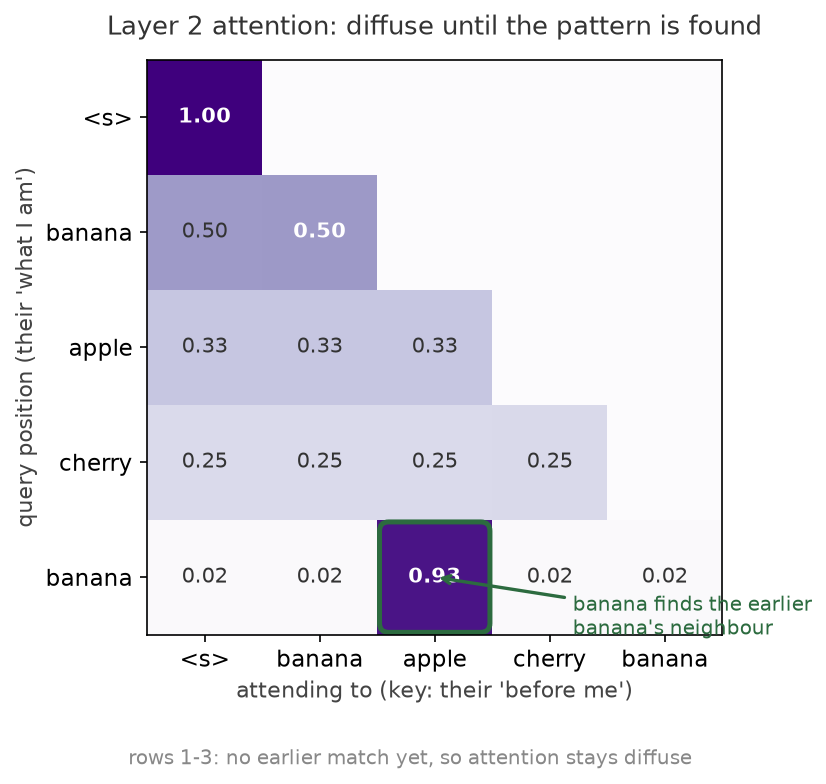 Layer 2 attention: a sharp match at the second banana, diffuse guessing everywhere earlier
